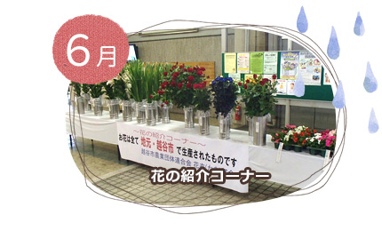 ６月上旬　花の展示会