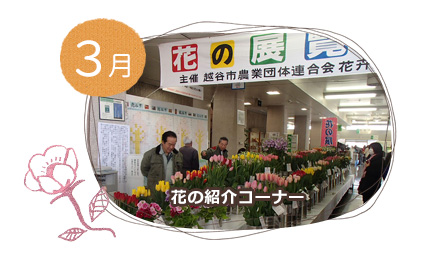 ３月上旬　花の展示会