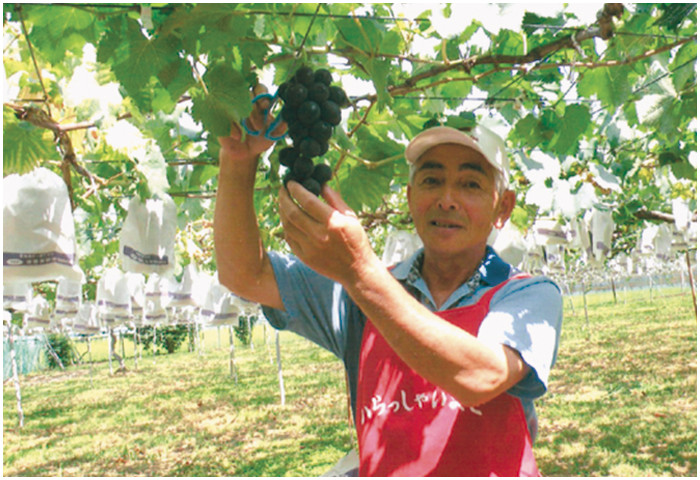 大塚ポートリー