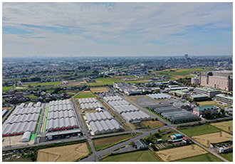 越谷いちごタウン